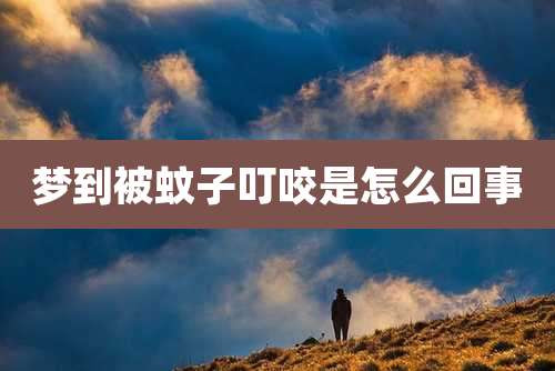 梦到被蚊子叮咬是怎么回事