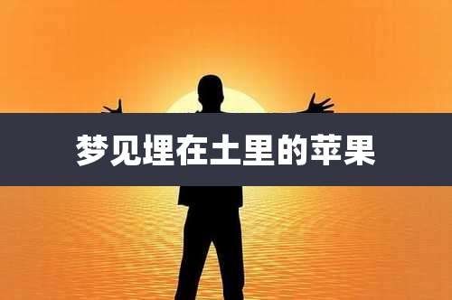 梦见埋在土里的苹果