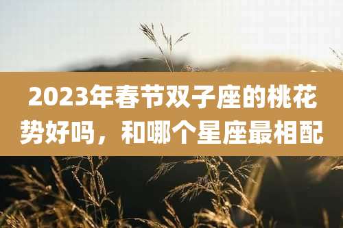 2023年春节双子座的桃花势好吗,和哪个星座最相配