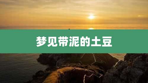 梦见带泥的土豆