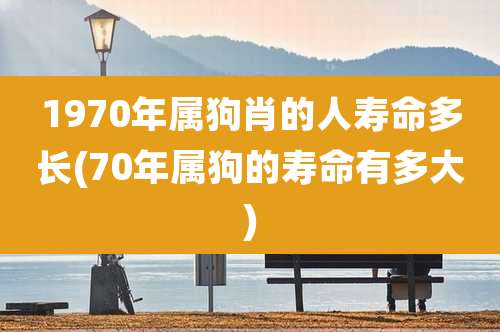 1970年属狗肖的人寿命多长(70年属狗的寿命有多大)