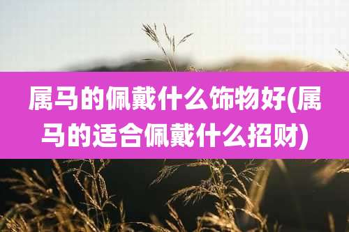 属马的佩戴什么饰物好(属马的适合佩戴什么招财)