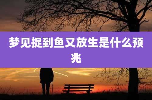 梦见捉到鱼又放生是什么预兆