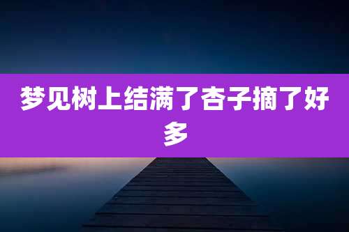 梦见树上结满了杏子摘了好多