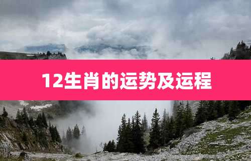 12生肖的运势及运程