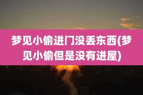 梦见小偷进门没丢东西(梦见小偷但是没有进屋)