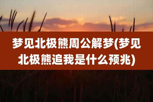 梦见北极熊周公解梦(梦见北极熊追我是什么预兆)