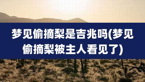 梦见偷摘梨是吉兆吗(梦见偷摘梨被主人看见了)