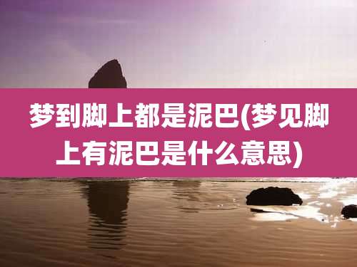 梦到脚上都是泥巴(梦见脚上有泥巴是什么意思)