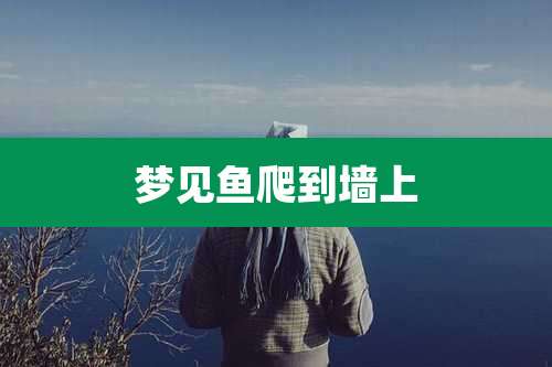 梦见鱼爬到墙上