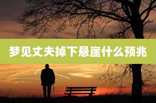 梦见丈夫掉下悬崖什么预兆