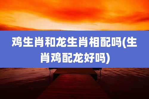 鸡生肖和龙生肖相配吗(生肖鸡配龙好吗)
