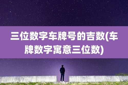 三位数字车牌号的吉数(车牌数字寓意三位数)