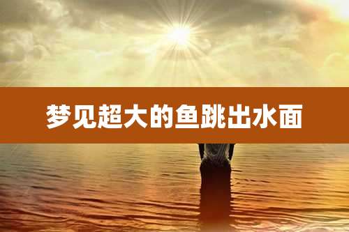 梦见超大的鱼跳出水面