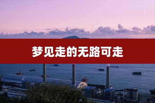 梦见走的无路可走