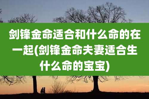 剑锋金命适合和什么命的在一起(剑锋金命夫妻适合生什么命的宝宝)