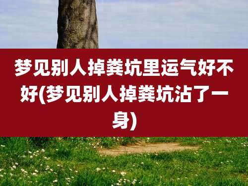 梦见别人掉粪坑里运气好不好(梦见别人掉粪坑沾了一身)