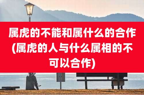 属虎的不能和属什么的合作(属虎的人与什么属相的不可以合作)