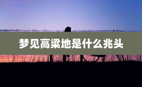 梦见高粱地是什么兆头