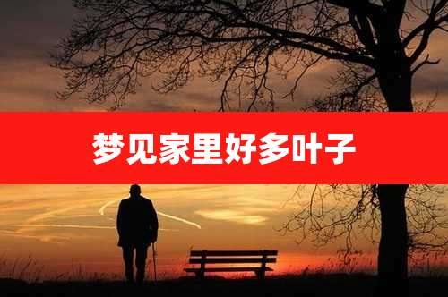 梦见家里好多叶子