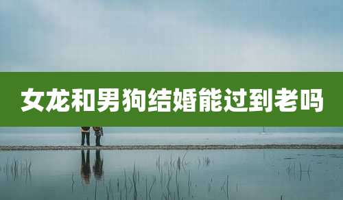 女龙和男狗结婚能过到老吗