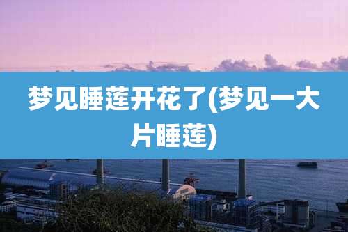 梦见睡莲开花了(梦见一大片睡莲)