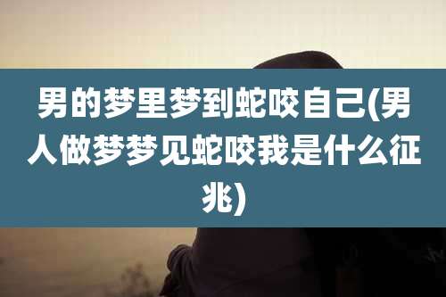 男的梦里梦到蛇咬自己(男人做梦梦见蛇咬我是什么征兆)