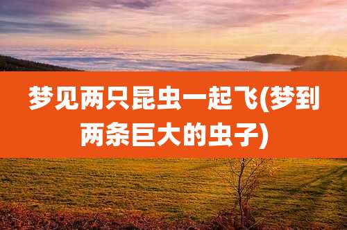 梦见两只昆虫一起飞(梦到两条巨大的虫子)