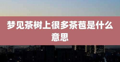 梦见茶树上很多茶苞是什么意思