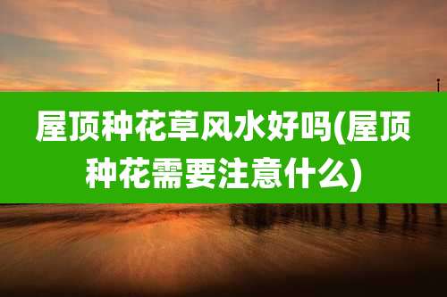 屋顶种花草风水好吗(屋顶种花需要注意什么)
