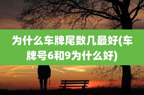 为什么车牌尾数几最好(车牌号6和9为什么好)