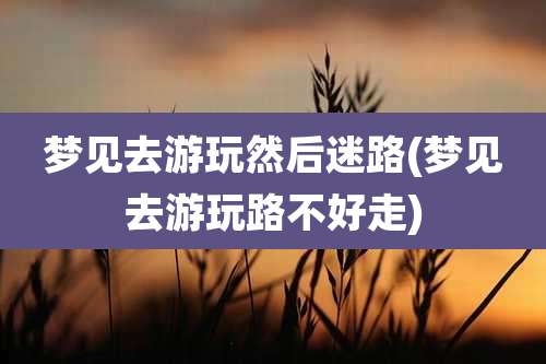 梦见去游玩然后迷路(梦见去游玩路不好走)