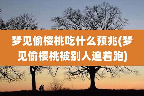 梦见偷樱桃吃什么预兆(梦见偷樱桃被别人追着跑)