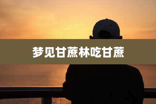 梦见甘蔗林吃甘蔗