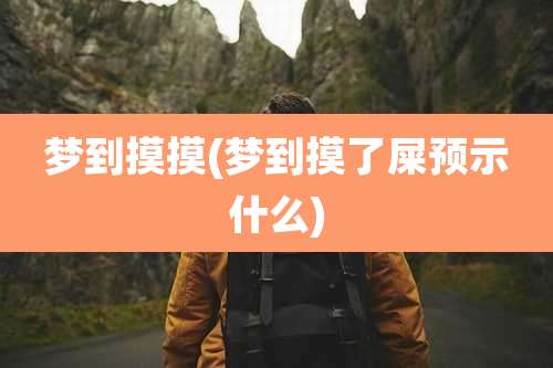 梦到摸摸(梦到摸了屎预示什么)