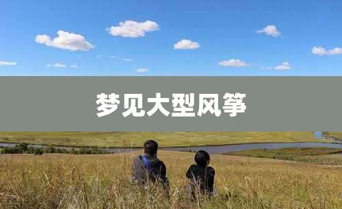 梦见大型风筝