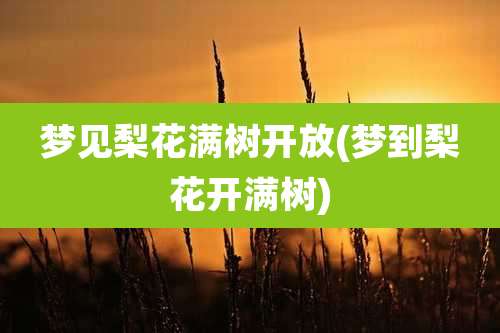 梦见梨花满树开放(梦到梨花开满树)