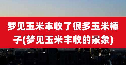 梦见玉米丰收了很多玉米棒子(梦见玉米丰收的景象)
