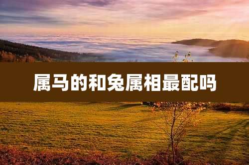 属马的和兔属相最配吗