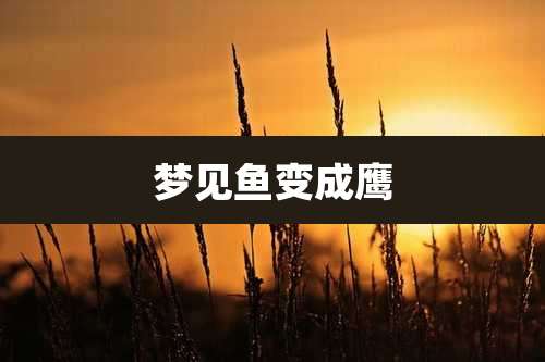 梦见鱼变成鹰