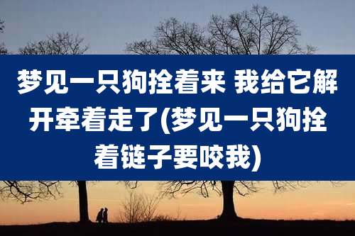 梦见一只狗拴着来 我给它解开牵着走了(梦见一只狗拴着链子要咬我)