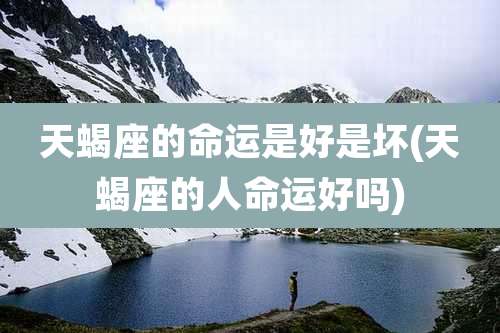 天蝎座的命运是好是坏(天蝎座的人命运好吗)