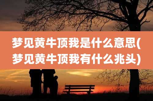 梦见黄牛顶我是什么意思(梦见黄牛顶我有什么兆头)