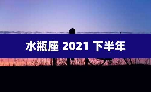 水瓶座 2021 下半年