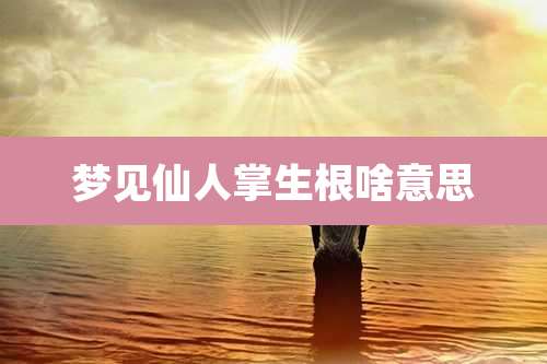 梦见仙人掌生根啥意思