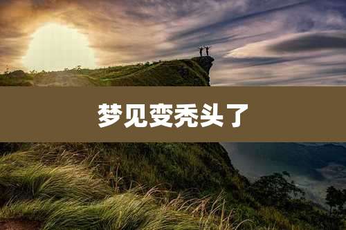 梦见变秃头了