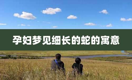 孕妇梦见细长的蛇的寓意