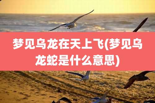 梦见乌龙在天上飞(梦见乌龙蛇是什么意思)