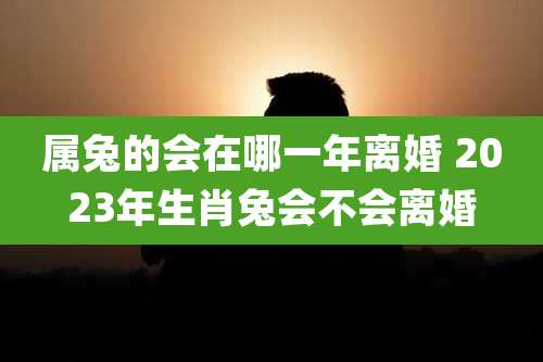 属兔的会在哪一年离婚 2023年生肖兔会不会离婚