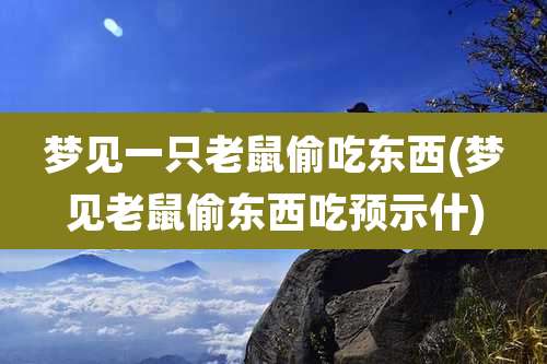 梦见一只老鼠偷吃东西(梦见老鼠偷东西吃预示什)